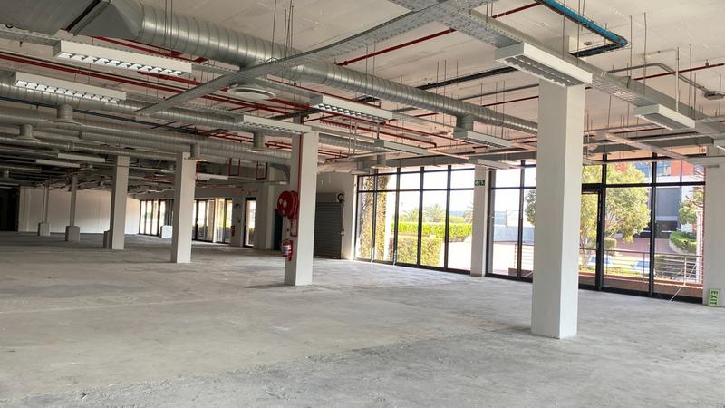 To Let commercial Property for Rent in Observatory Western Cape